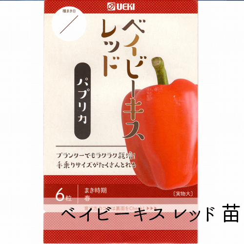 ピーマン苗 パプリカ苗 とうがらし類苗 通販 赤毛農園の直売所 野菜苗の生産販売