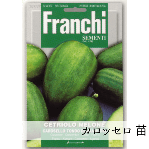 南イタリアのキュウリ カロッセロ苗 2品種 赤毛農園の直売所 野菜苗販売 通販