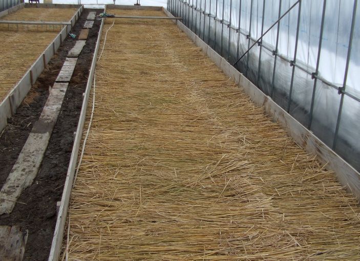 温床育苗床つくり 赤毛農園の農作業リポート